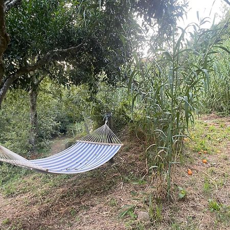 Nascente, Place In Nature Next To A Waterfall Loureiro  Buitenkant foto