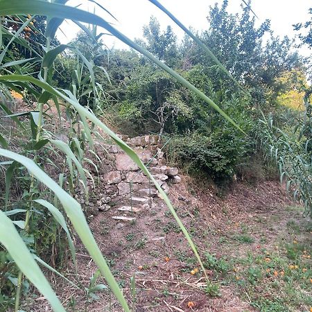 Nascente, Place In Nature Next To A Waterfall Loureiro  Buitenkant foto