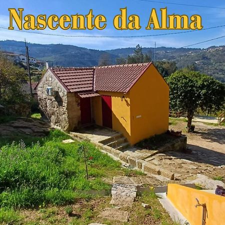 Nascente, Place In Nature Next To A Waterfall Loureiro  Buitenkant foto