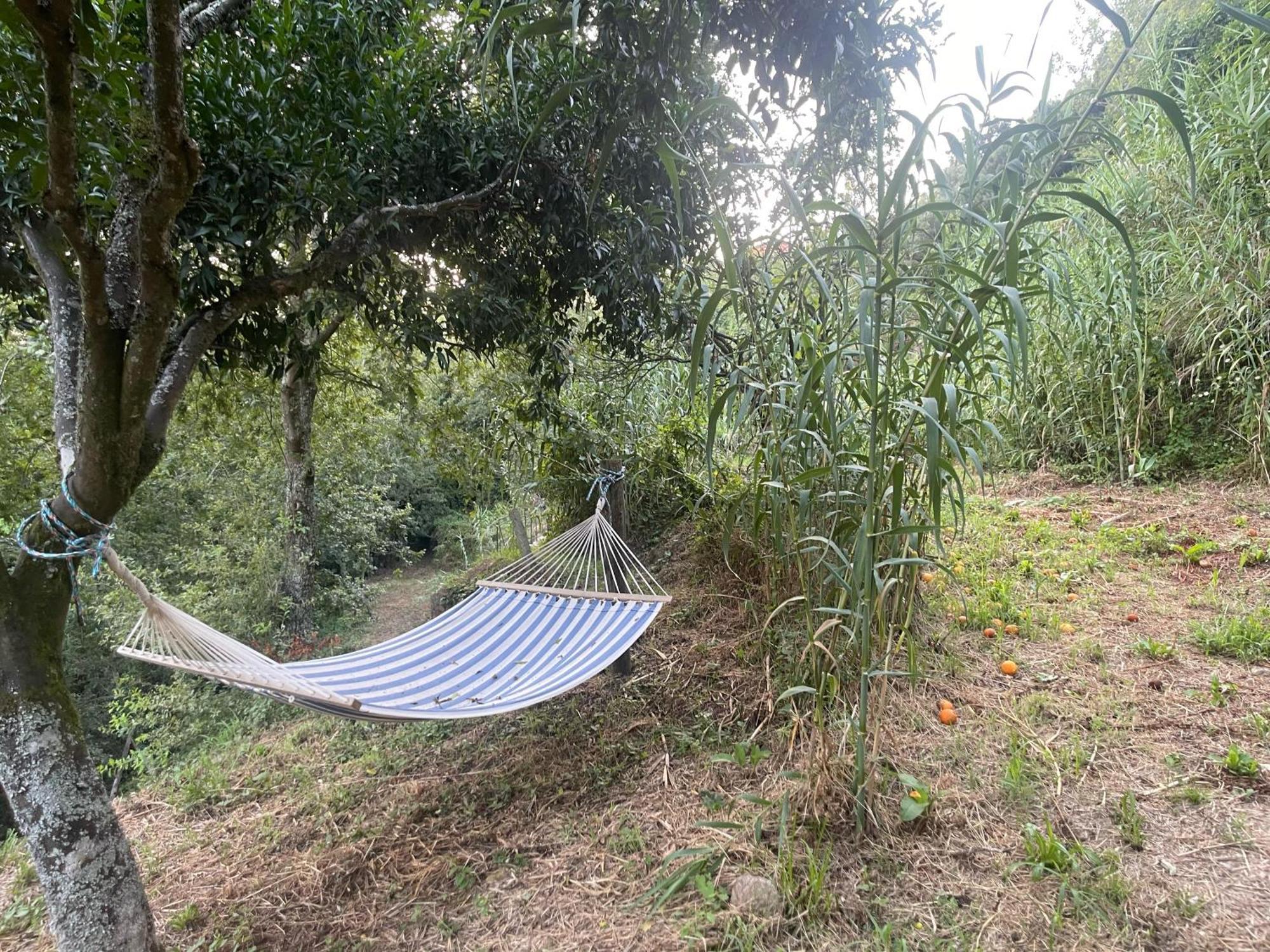 Nascente, Place In Nature Next To A Waterfall Loureiro  Buitenkant foto