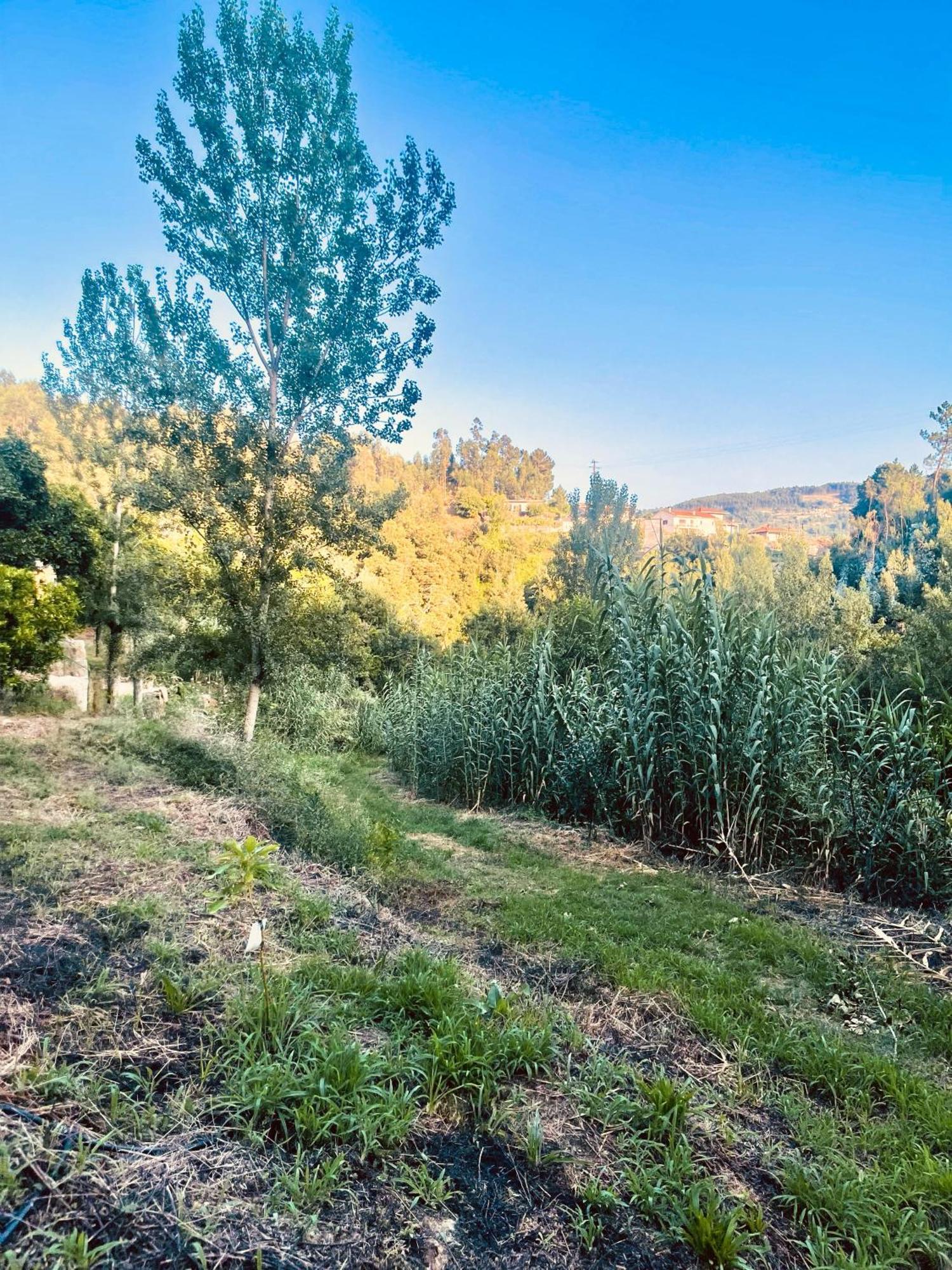 Nascente, Place In Nature Next To A Waterfall Loureiro  Buitenkant foto