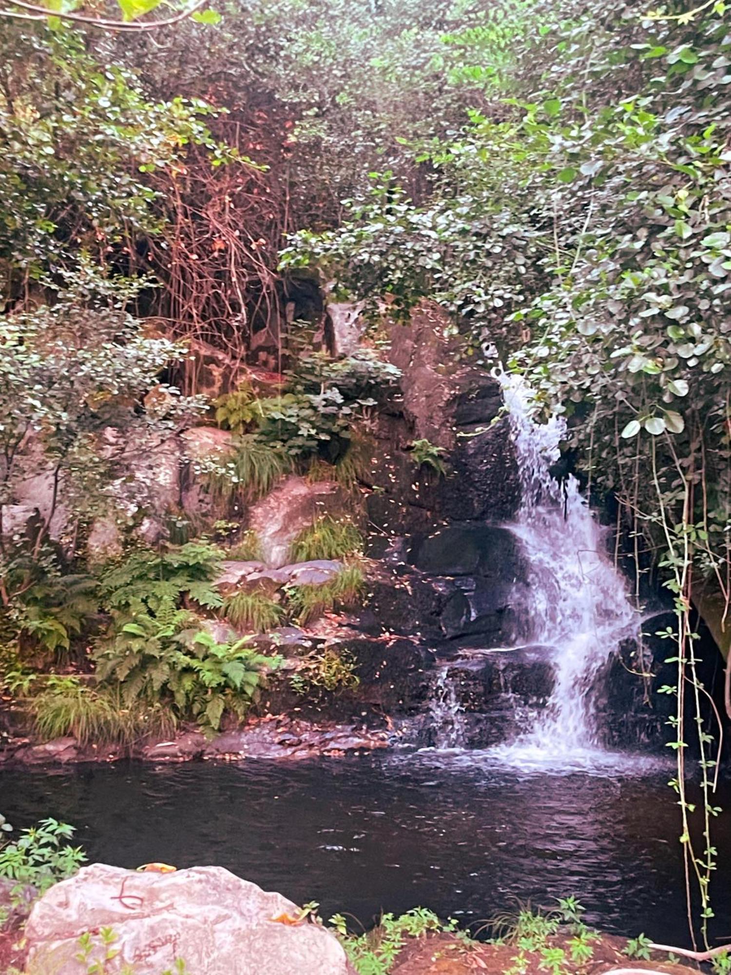 Nascente, Place In Nature Next To A Waterfall Loureiro  Buitenkant foto